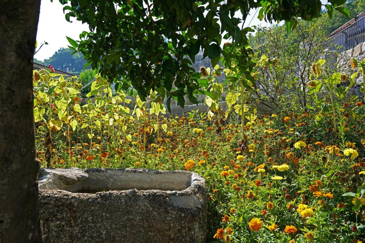 Casa Do Vale Guest House Fafe Exterior foto